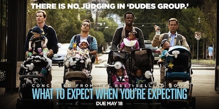 What to Expect When You're Expecting Review Dude's Group