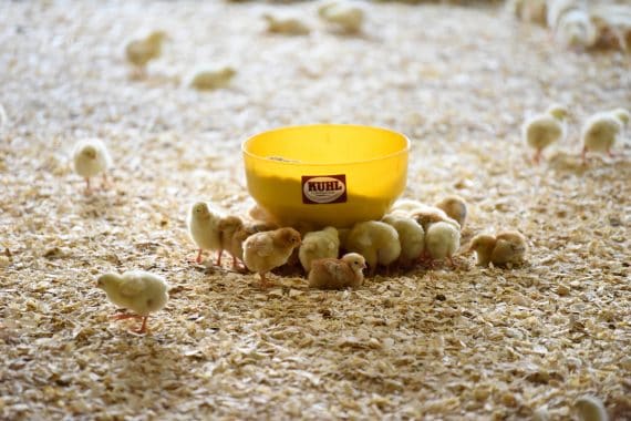 Perdue Farms 3rd Annual Animal Care Summit
