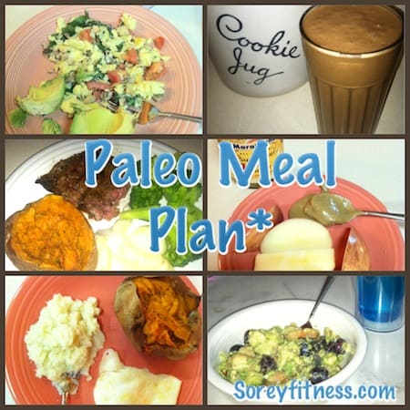 paleo meal plan using short prep times