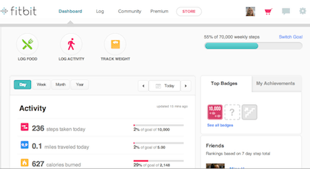 FitBit Dashboard Screenshot