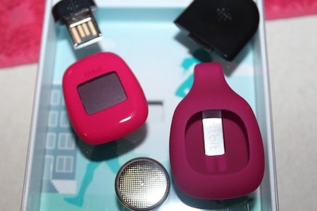 fitbit pieces