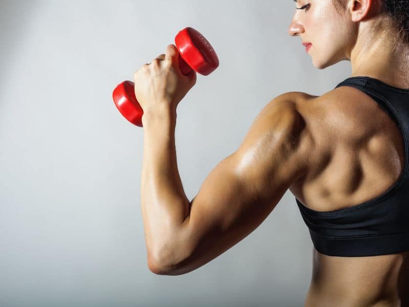 shoulder muscles on a fit woman
