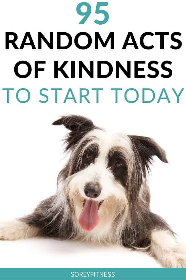 random acts of kindness with a dog on the picture