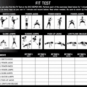 Insanity Fit Test