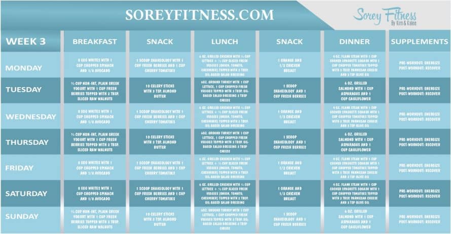 insanity workout meal plans