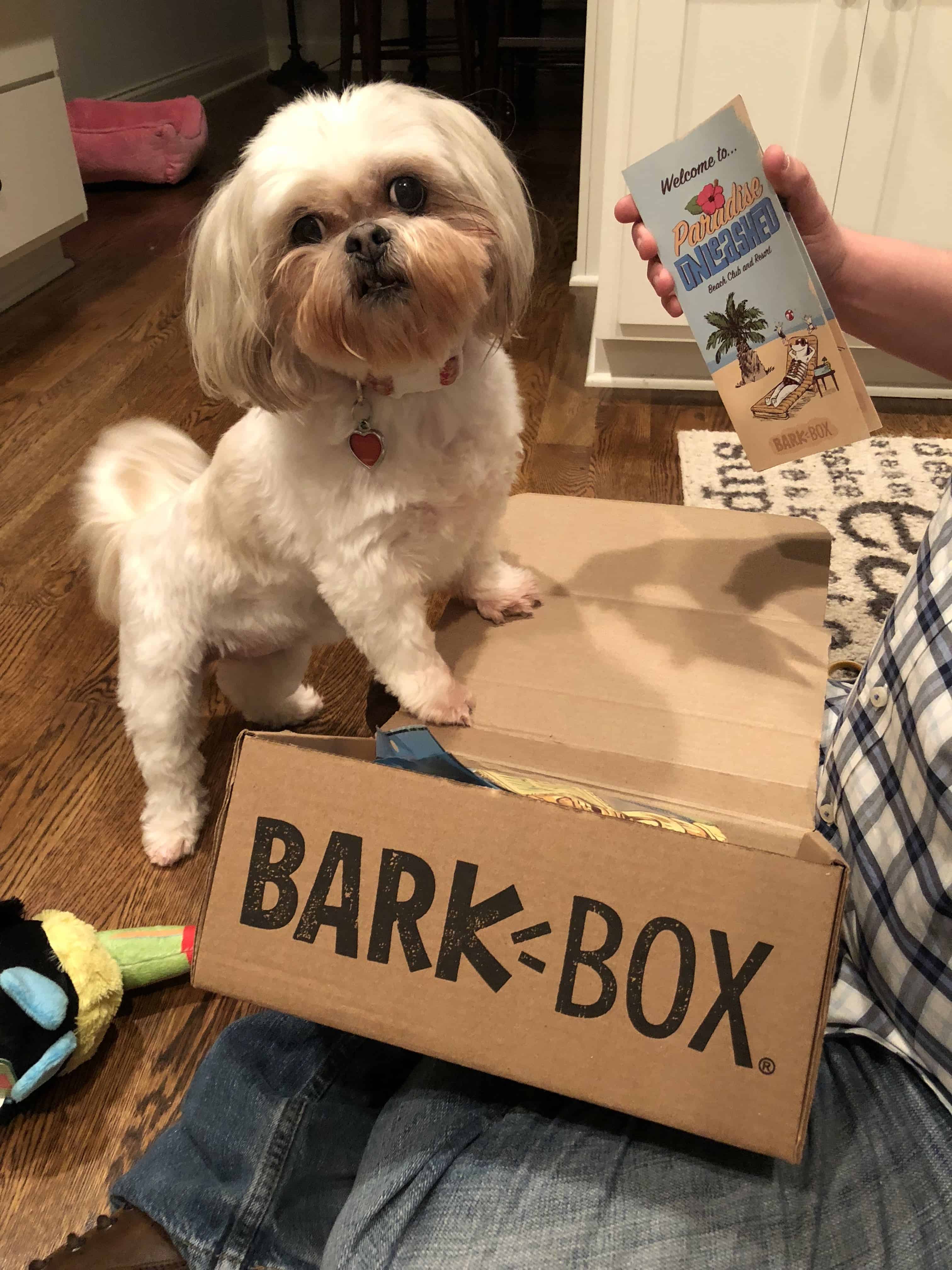 BarkBox Review Is BarkBox Worth It? See What's Included