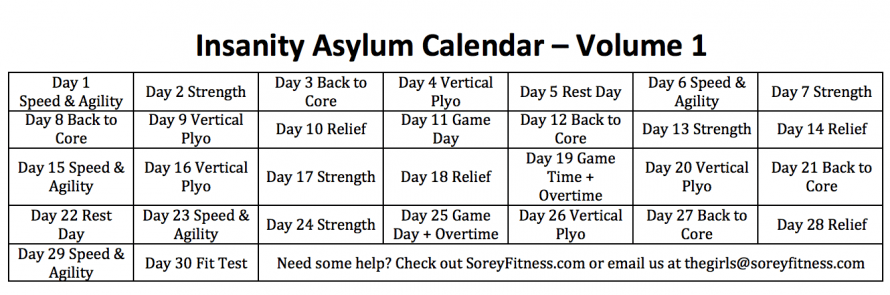 Insanity the 2025 asylum workout calendar