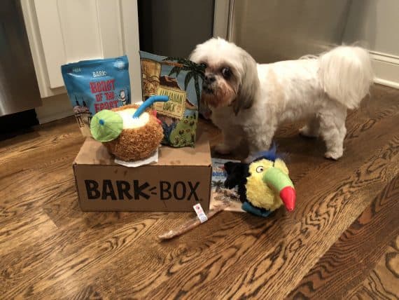 hidden toys in barkbox toys