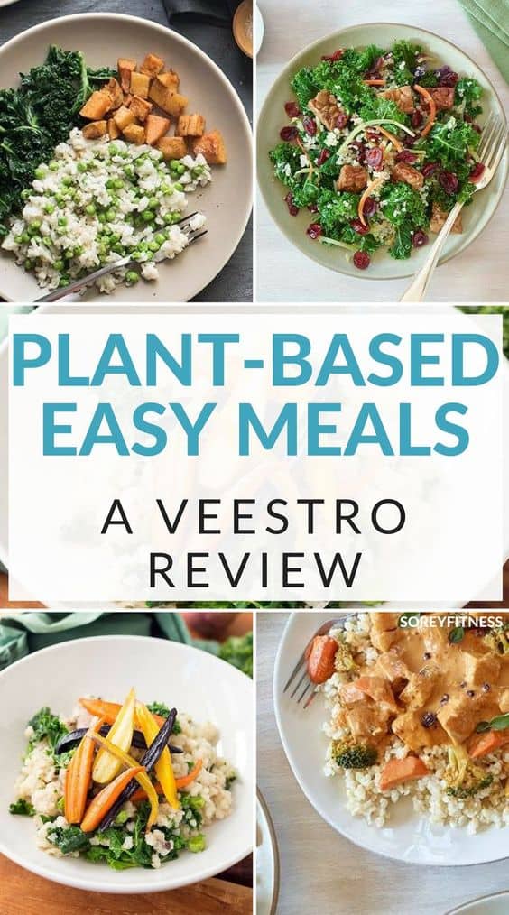 Plant Based Easy Meals - a Veestro Review with 4 Pictures of their meals
