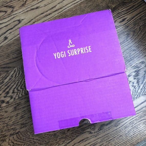 Yogi Surprise reviews June 2018