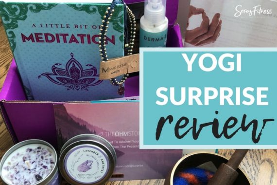 Yogi Surprise Reviews June 2018