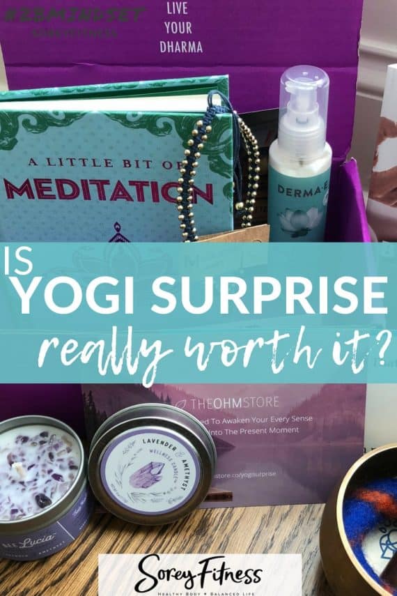 yogi surprise reviews