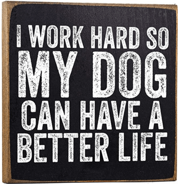 I work hard so my dog can have a better life