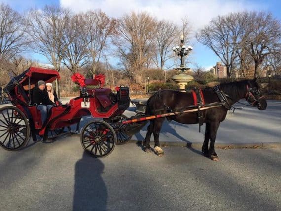 Central Park NYC at Christmas