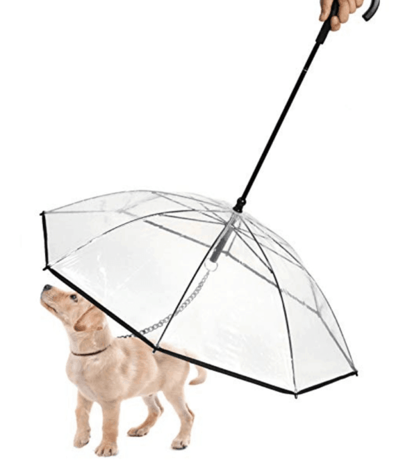 Pet Umbrella