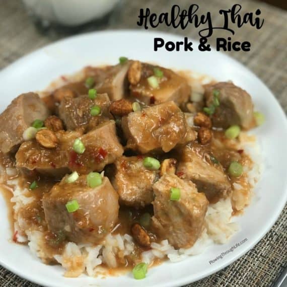 Thai Healthy crockpot meals