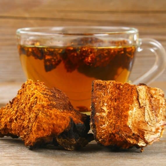 Chaga Benefits