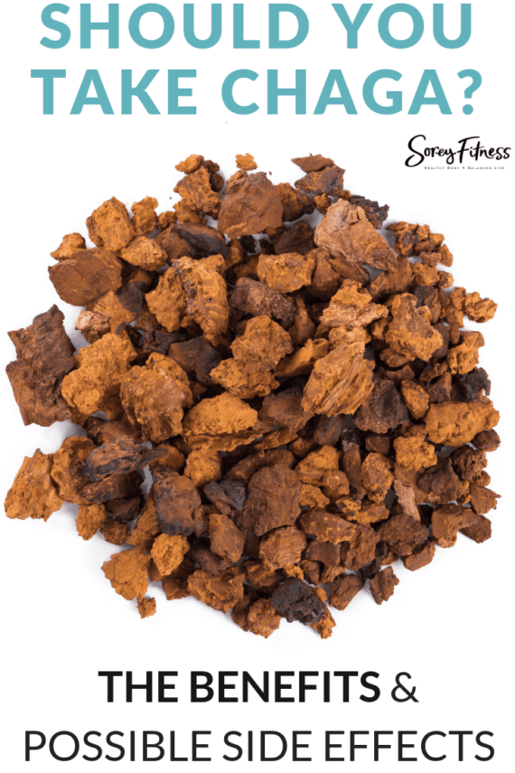 What is Chaga