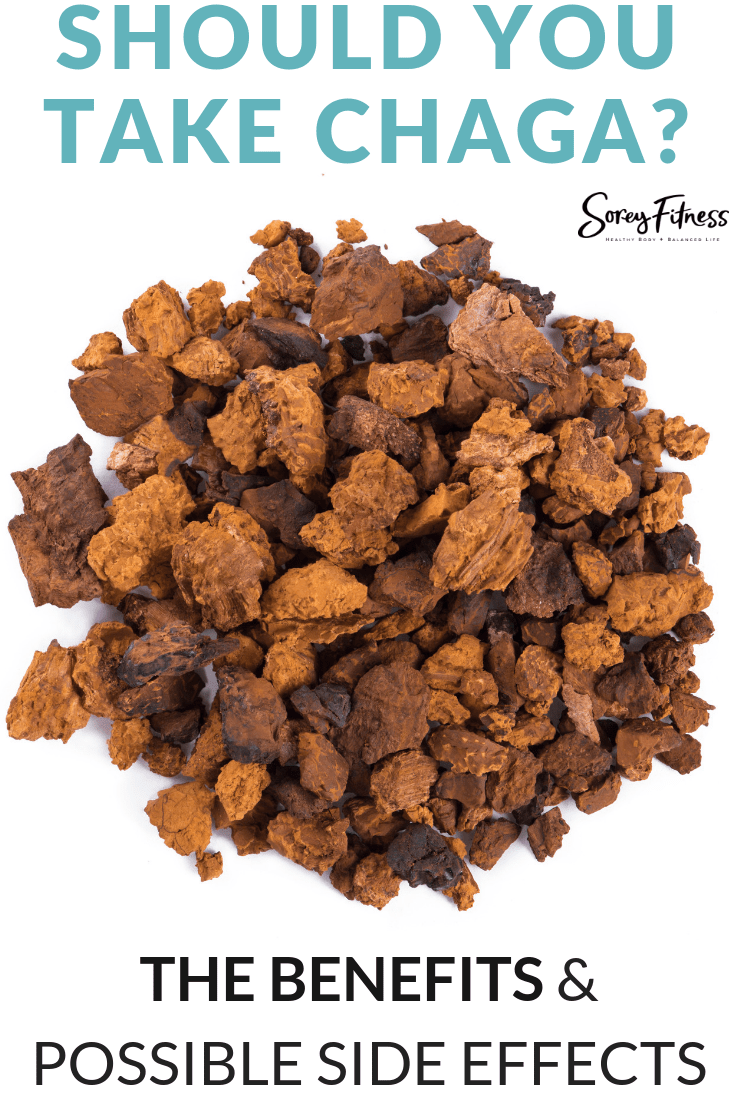 Chaga [Benefits & Possible Side Effects]