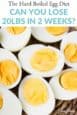 Hard Boiled Egg Diet: How it Works, Benefits and Risks