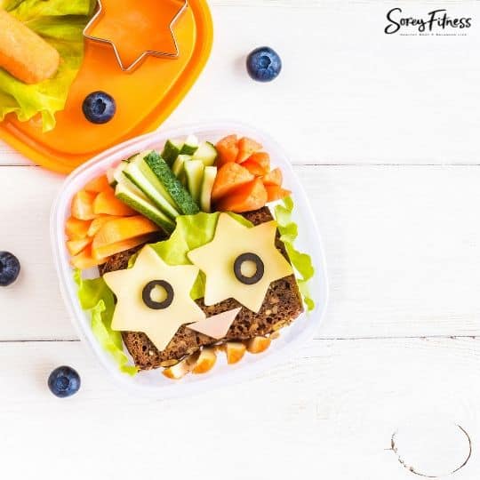 21+ Healthy School Lunch Ideas for Kids (Quick & Easy!)