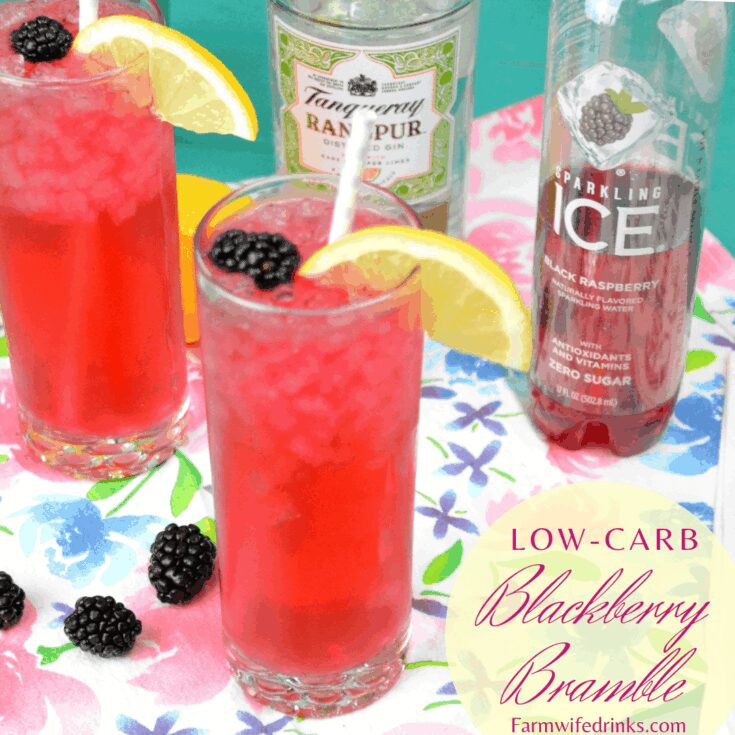 Image for Low Carb Blackberry Bramble - Blackberry Lemonade Gin Cocktail -