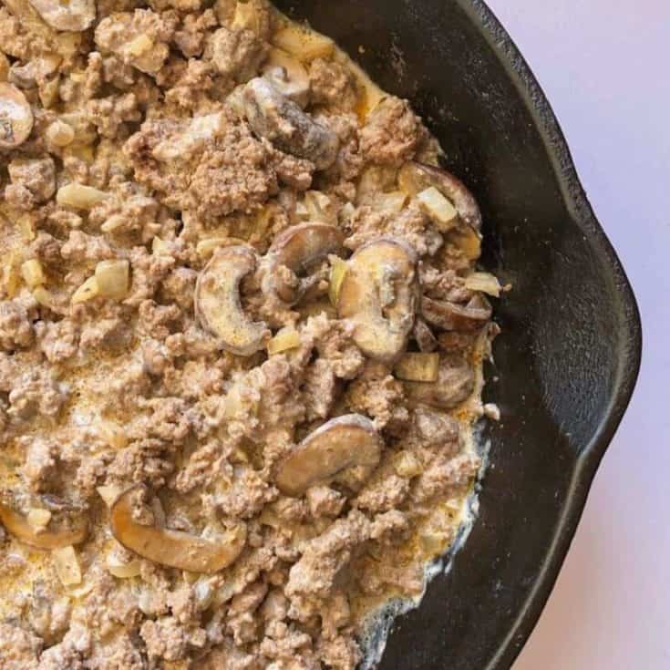 2b mindset beef stroganoff dinne recipe