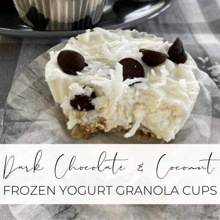 Image for Delicious Dark Chocolate & Coconut Frozen Yogurt Granola Cups
