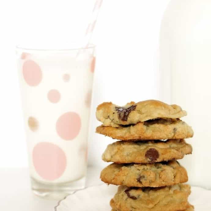 11 Best Low Carb Protein Cookies [Recipes & Store Bought Options]