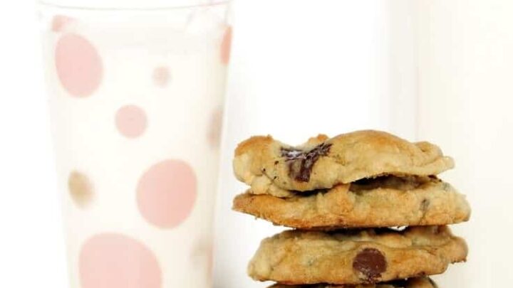 stack of low carb high protein cookies