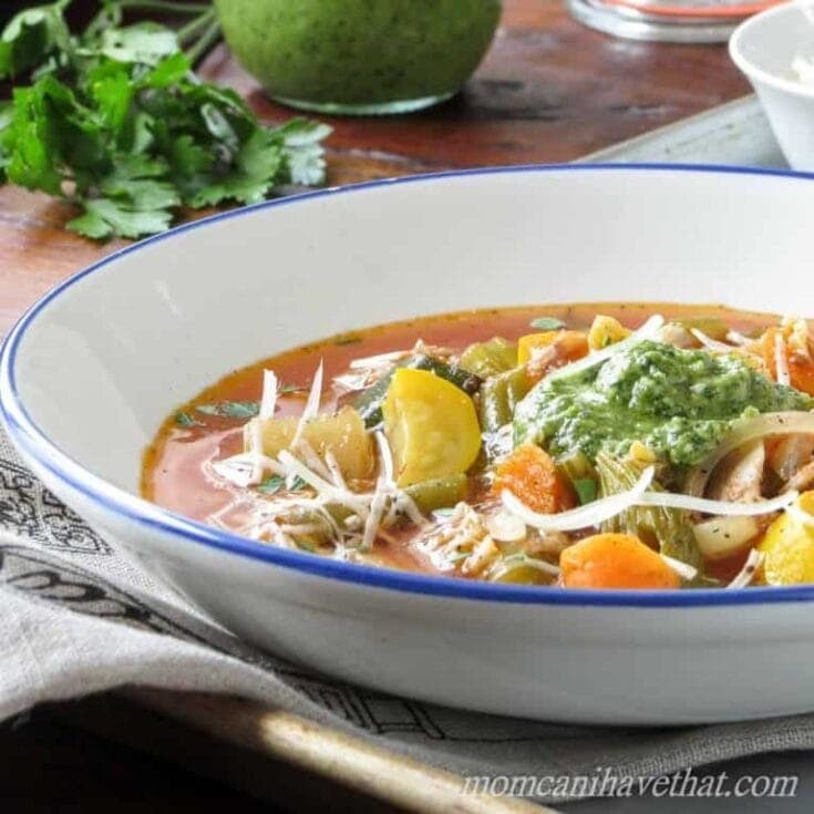 Image for Healthy Low Carb Chicken Minestrone Soup