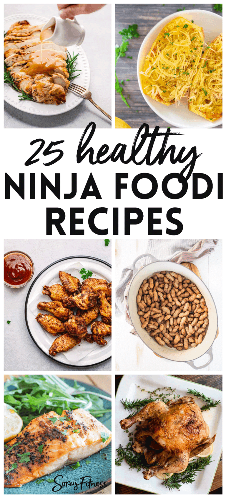 25+ Healthy Ninja Foodi Recipes