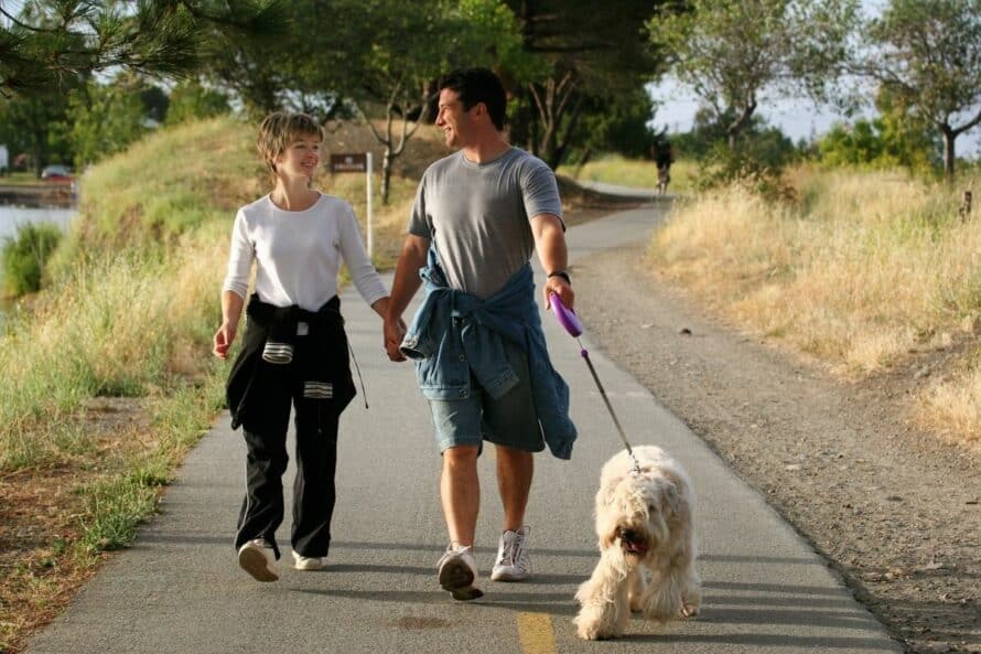 couple walking their dog in park