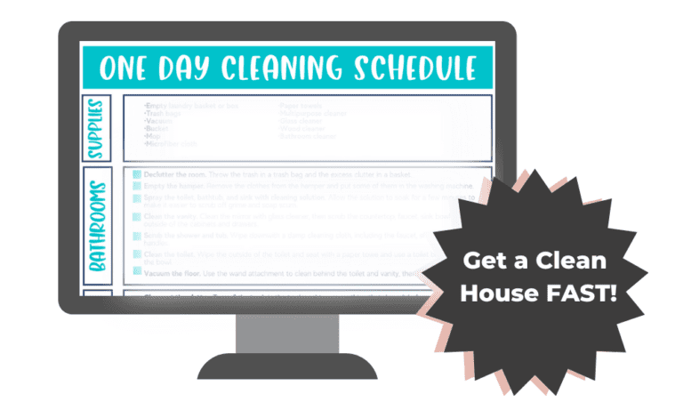 Clean House in ONE DAY (Checklist)