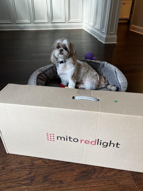 mito red light review of their full body mat - boxed with my dog in the background