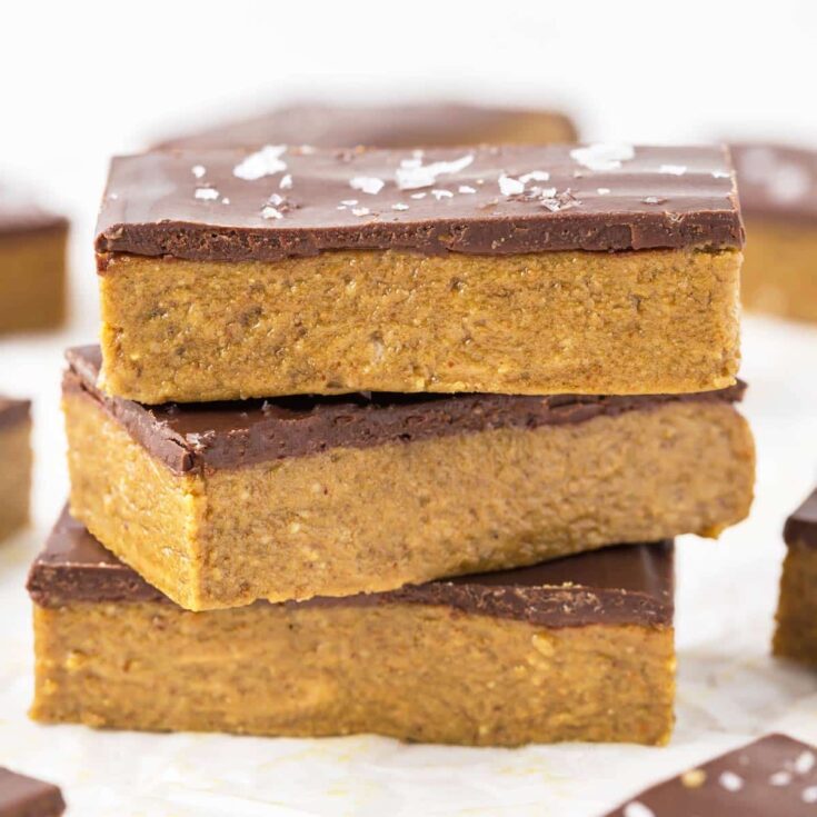 Image for Chocolate Peanut Butter Protein Bars