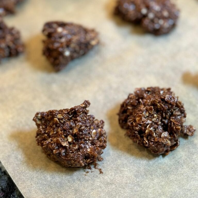 chocolate oatmeal protein cookies