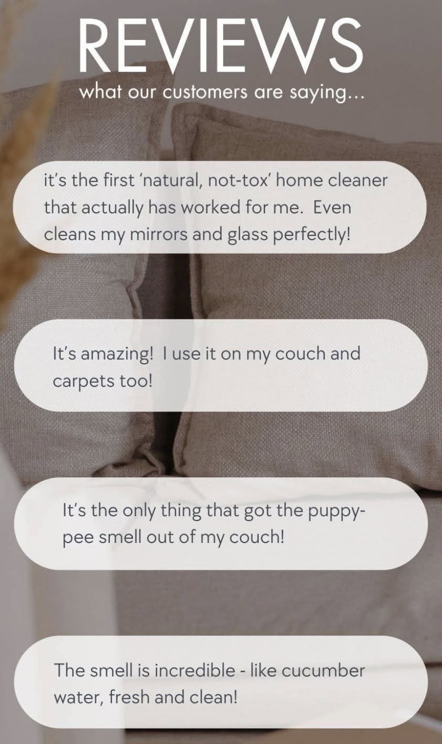Graphic with Customer Reviews of the Hugh and Grace Cleaning Solution