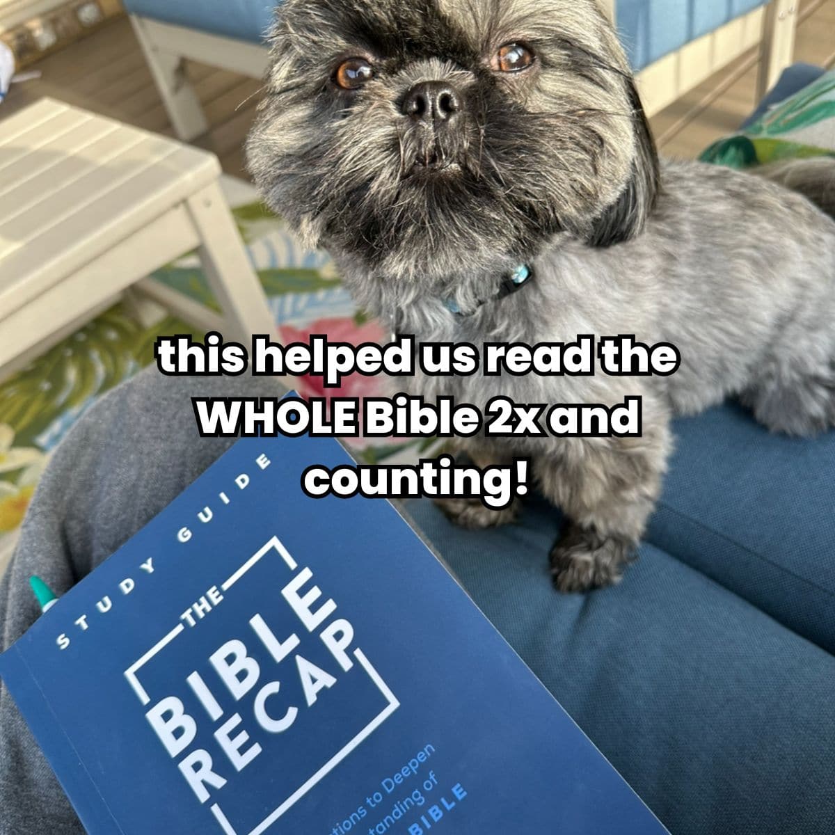 Bible Recap