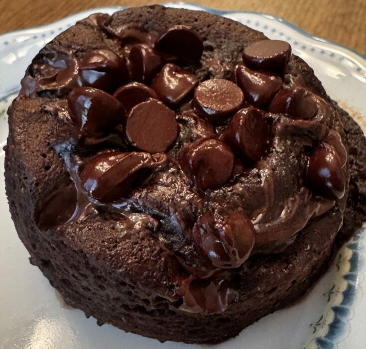 Best Chocolate Triple Boost Mug Cake Recipe