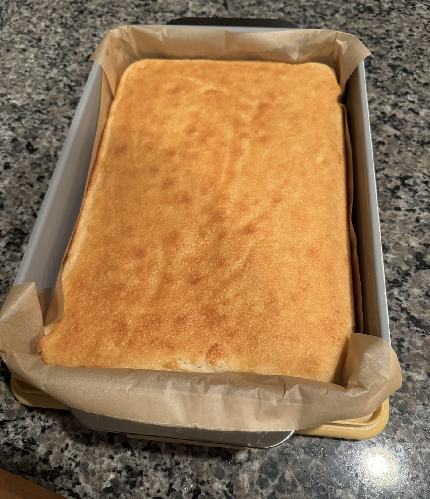 Cake right after coming out of the oven using a caraway baking pan