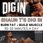 Shaun Ts Dig In Workout Review